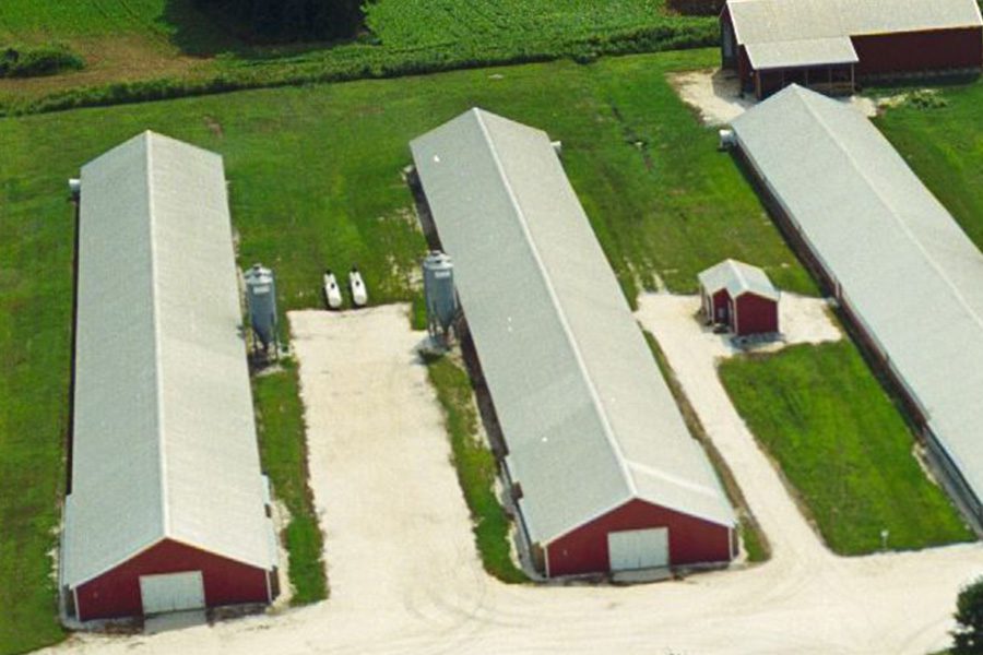 Poultry Farm Insurance - Aerial View of a Poultry Farm With Green Fields and Red Coops