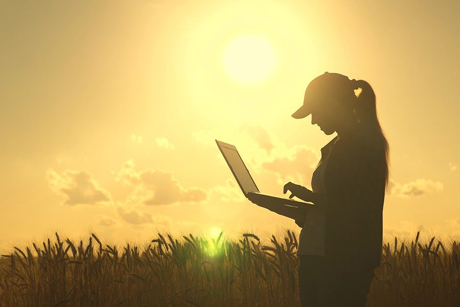 Blog - Woman Standing in a Wheat Field While Typing on a Laptop and the Sun is Shining Beside Her